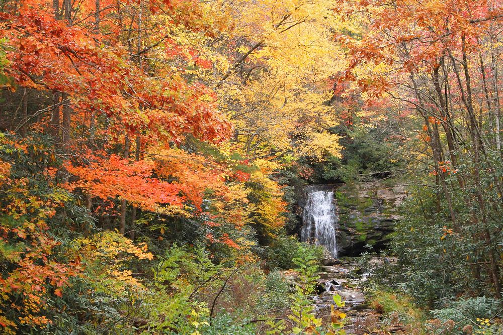 Meigs Falls during Autumn. Original public domain image from Flickr