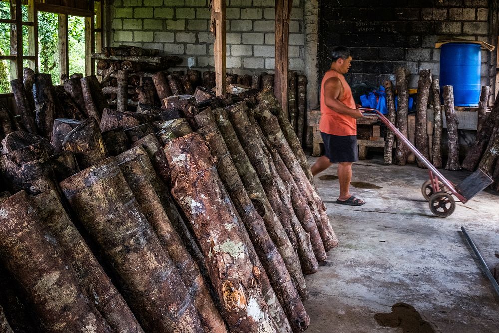 Logs in carpentry, Nueva Vizcaya, Philippines, July 2017.