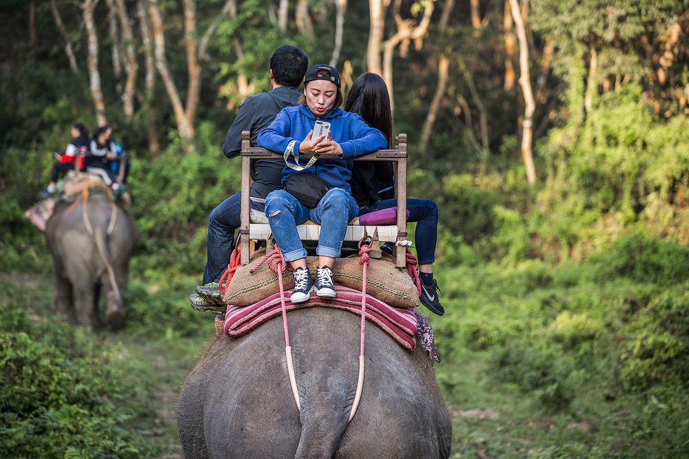 Tourists on elephant ride, Sauraha, Chitwan District, Nepal, November 2017.