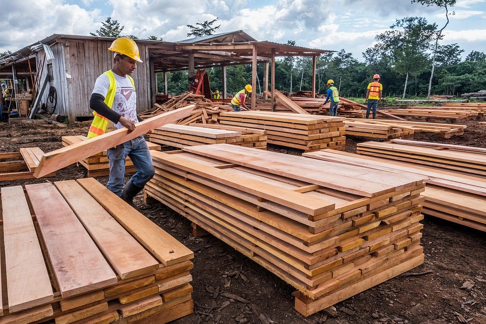 Plywood local sawmill, Carmelita, Guatemala, December 2017.