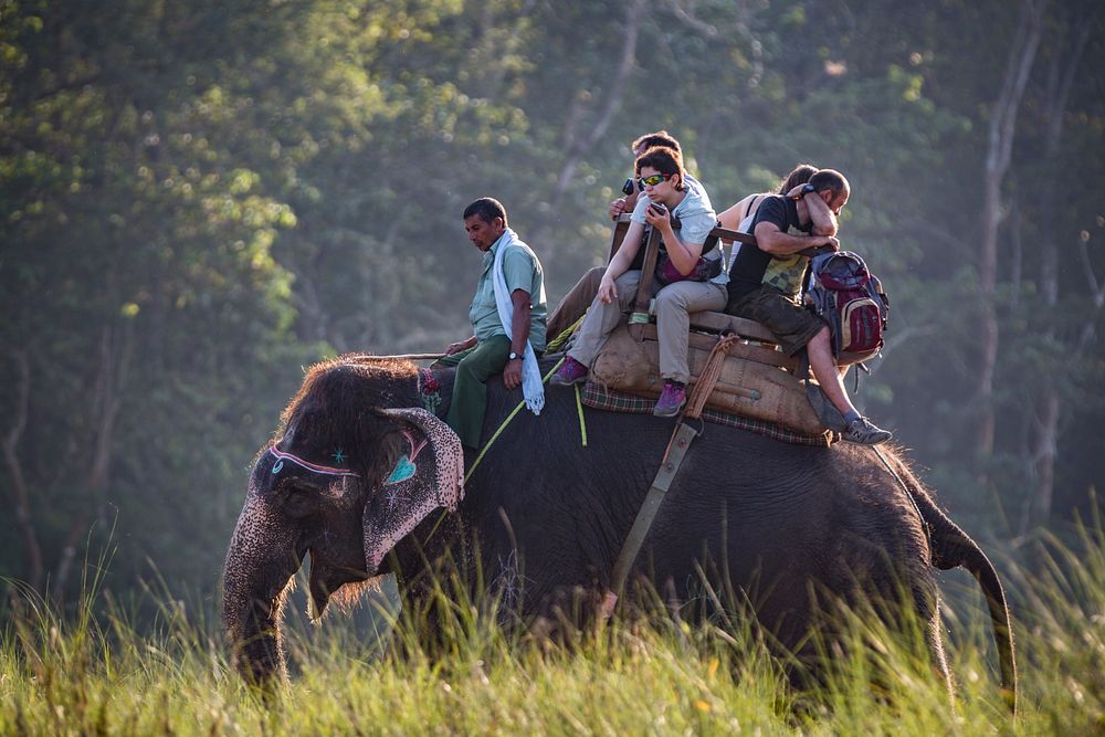 Tourists on elephant ride, Sauraha, Chitwan District, Nepal, November 2017.