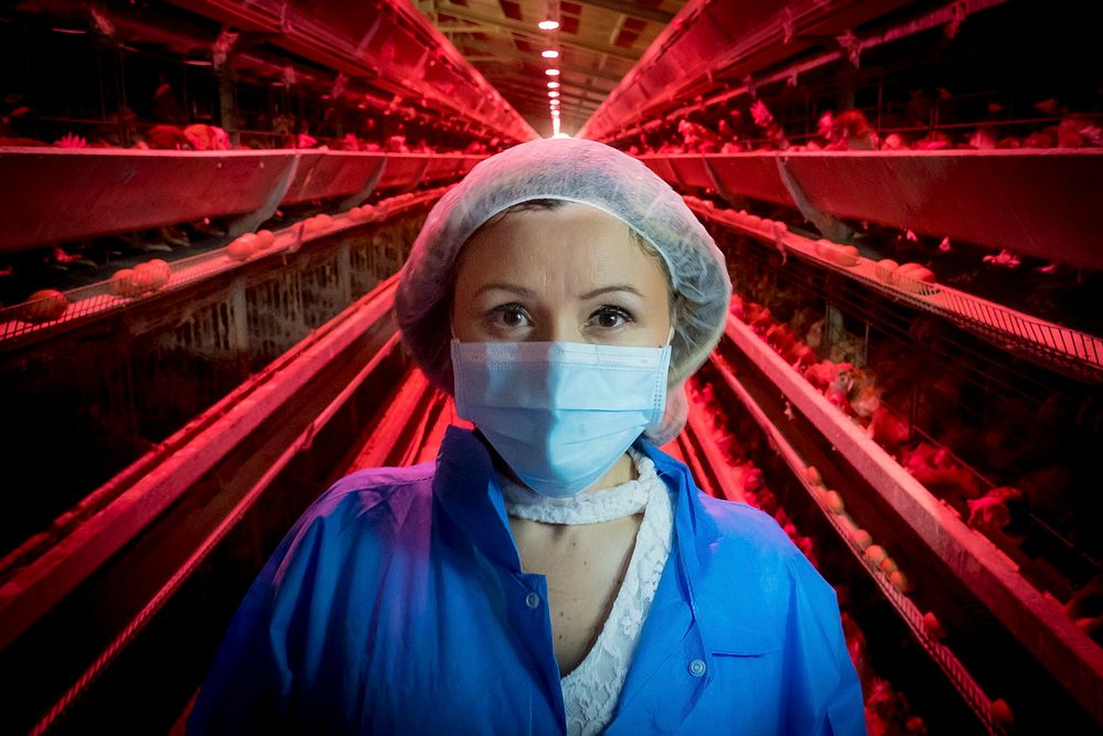Janice Deynes operates the Granja Avicola Pujols, a layers eggs production in San Sebastian, PR as part of the Farm Service…