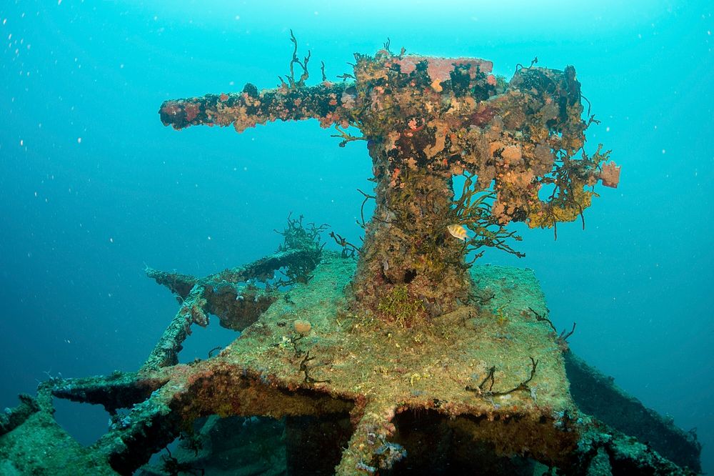 _DSC7147Kitsugawa Maru. Original public domain image from Flickr