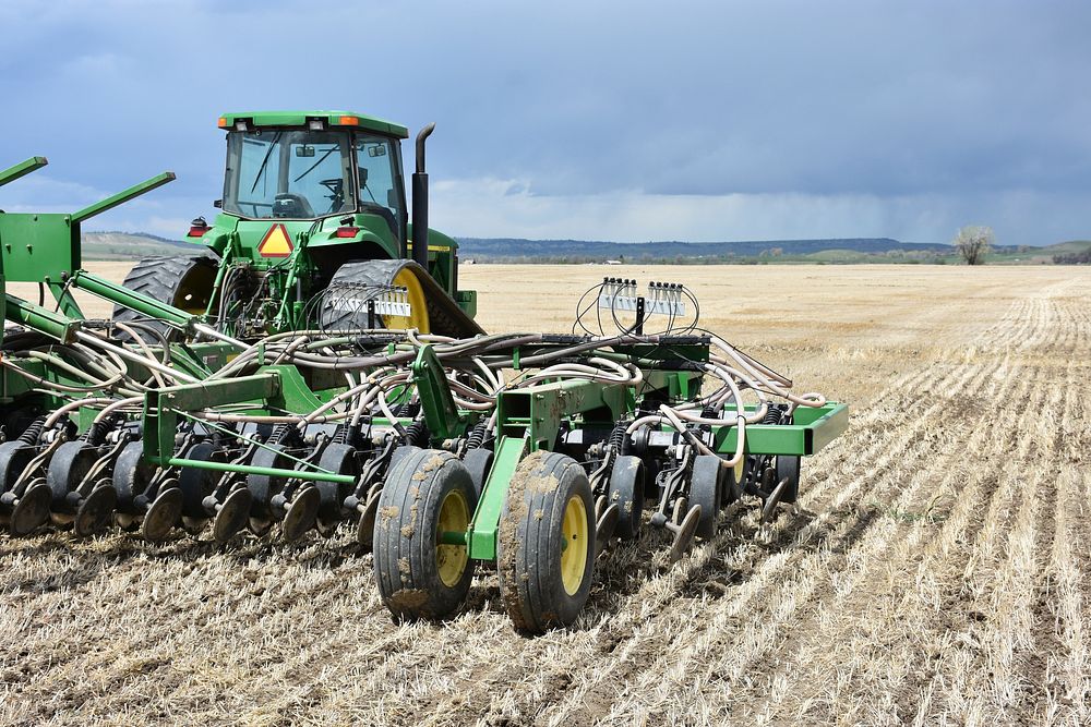 Corn and soybeans no-till, interplanted into barley stubble on Greg Schlemmer's farm.