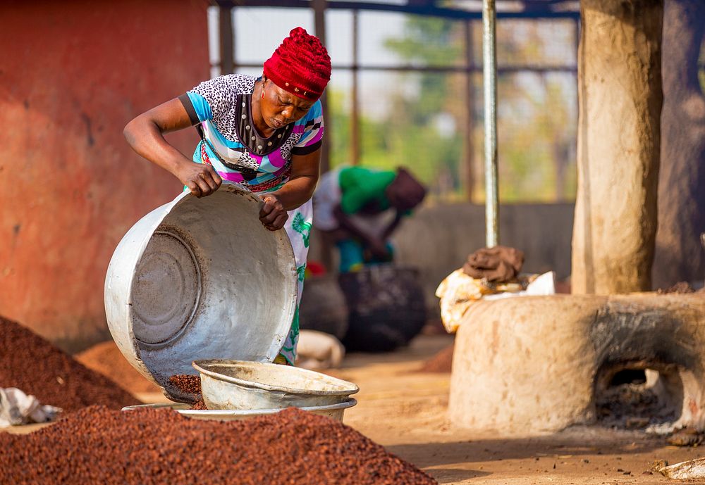 USAID in Ghana: Shea Butter Processing. USAID and the Global Shea Alliance partner to connect West Africa village women to…