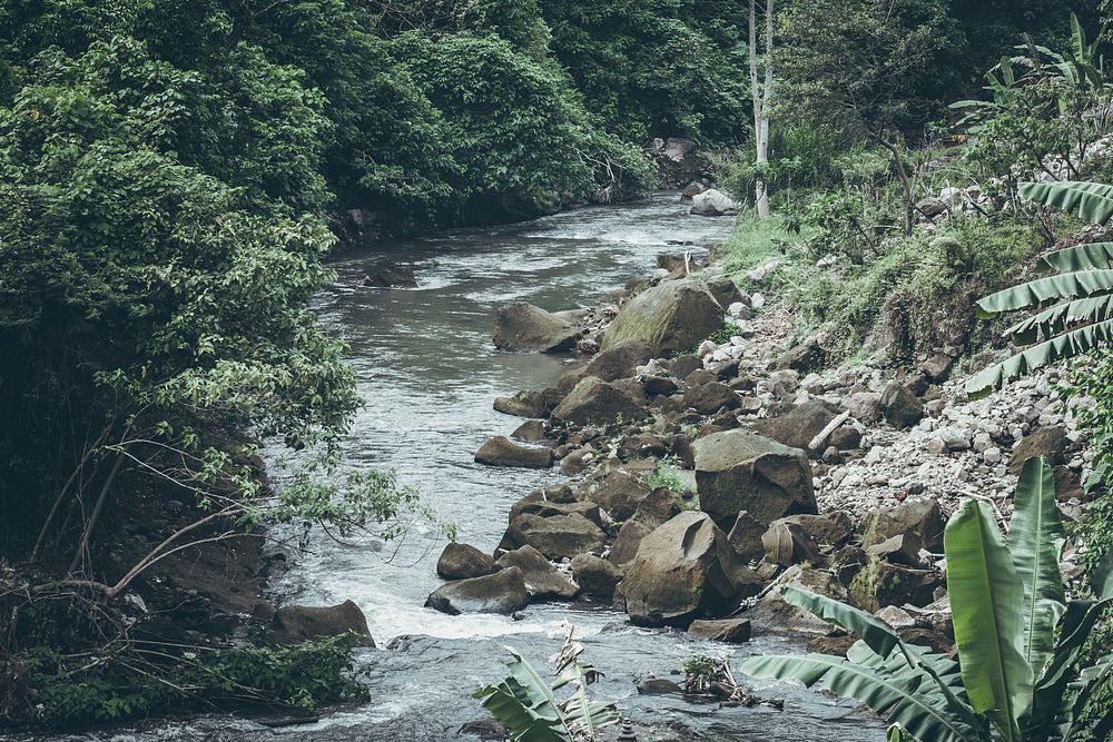 River, nature landscape. Free public domain CC0 image.