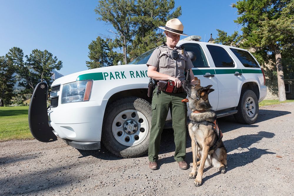 Ranger Hall and her K-9 unit Reu by Jacob W. Frank. Original public domain image from Flickr