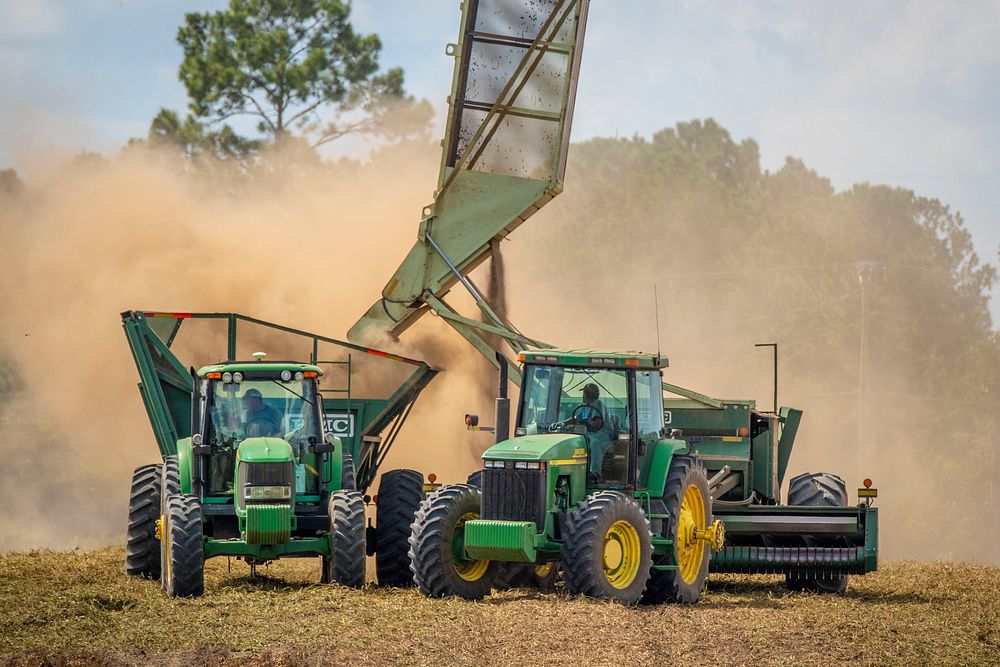 Workers harvest peanuts for Rick Davis Farms outside of Quitman, Georgia.