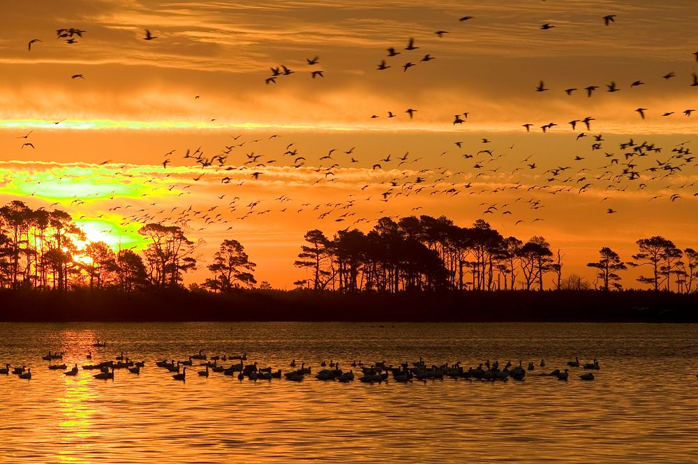 Sunset and lake background. Original public domain image from  Flickr