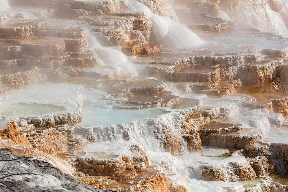 Terraces of Canary Spring. Original public domain image from Flickr