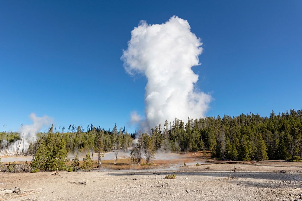 Steamboat Geyser erupts into the air on a clear morningby Jacob W. Frank. Original public domain image from Flickr