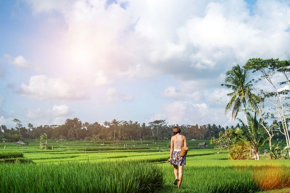 Young woman travelling in Asia, walking in rice paddies during rainy season in Bali, freedom feeling, explore.