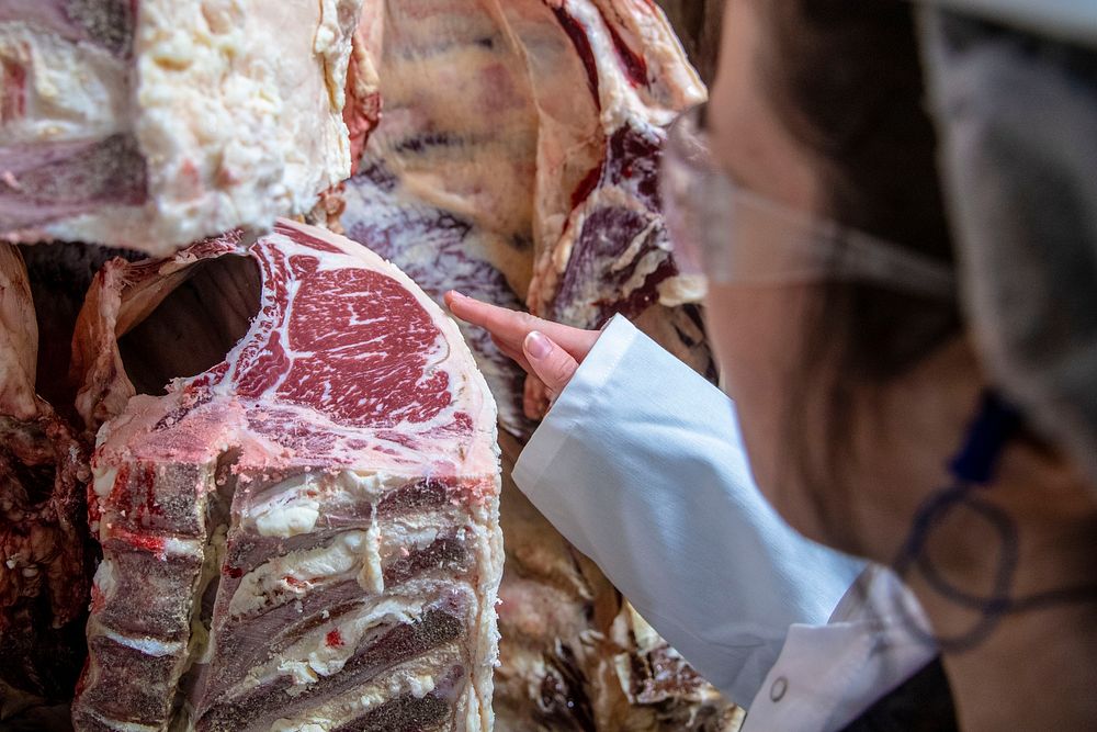 U.S. Department of Agriculture (USDA) meat inspectors and graders perform their mission.USDA photo by Preston Keres.…