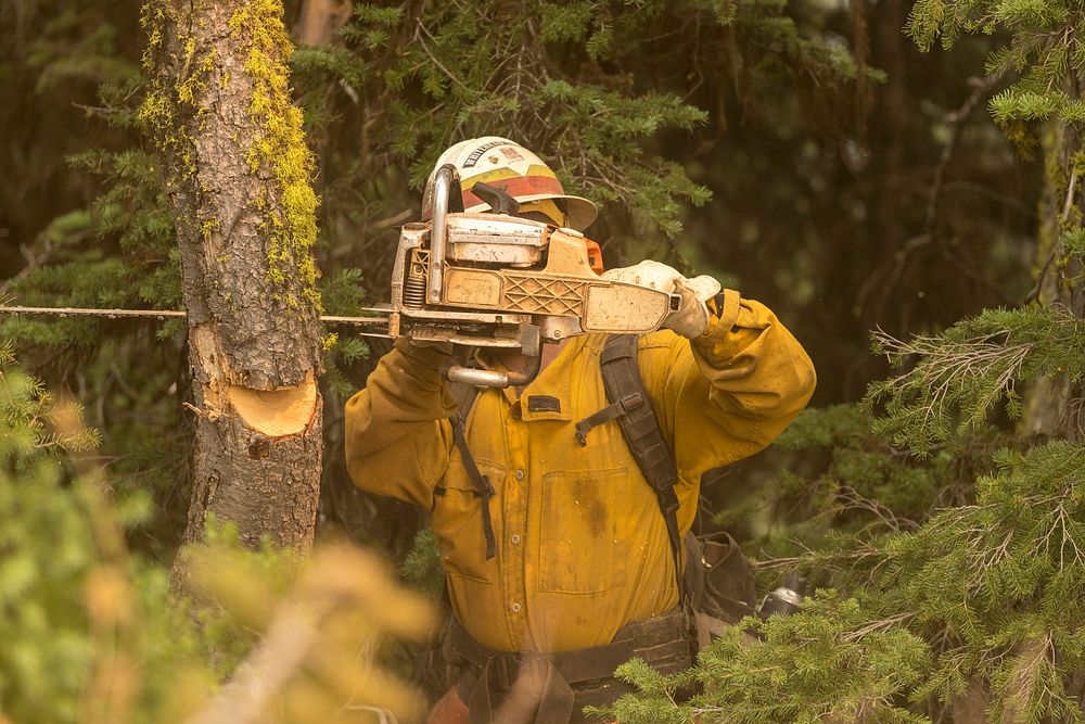 McLeod Fire, Okanogan-Wenatchee NF, WA, 2018. Photo by Kari Greer. Original public domain image from Flickr