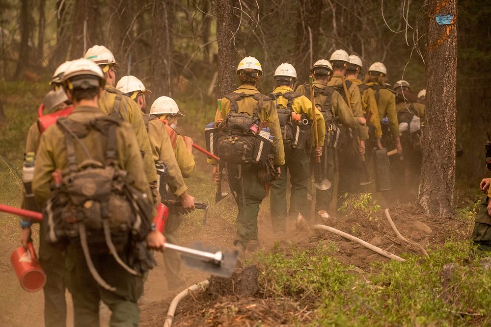 A group of fireman are walking in the wood. Photo by Kari Greer. Original public domain image from Flickr