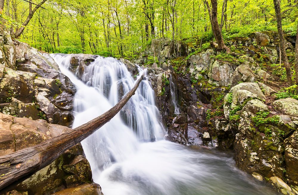 Rose River Falls, forest stream background. Free public domain CC0 photo.