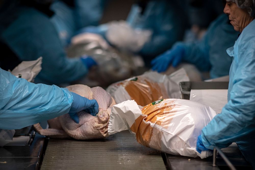 Workers package turkeys at Plainville Farms in New Oxford, Pennsylvania, October 31, 2018.