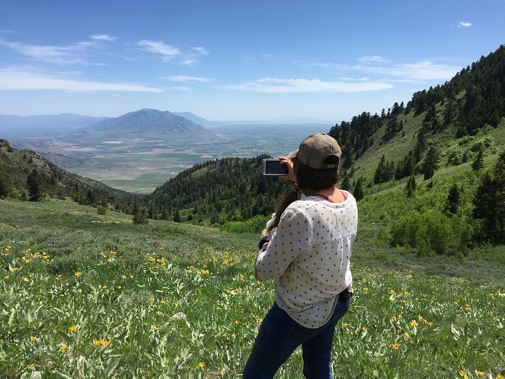 A Forest Service Range Specialist pauses during a range plant survey to capture the view from Gunsight Peak on the southern…
