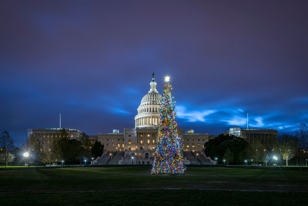 The 2018 Capitol Christmas Tree was was chosen from the Willamette National Forest located in Oregon. Original public domain…