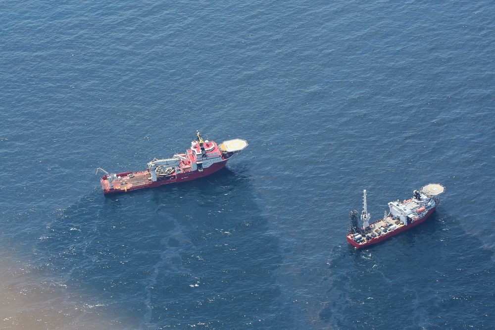 Gulf of Mexico Oil Spill (82). Original public domain image from Flickr