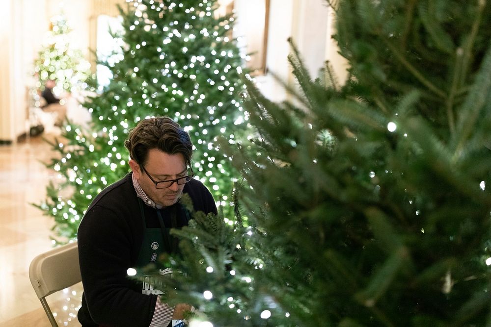 White House Christmas 2018F20181121AH-0448Volunteers decorate the White House in preparation for the upcoming Christmas…
