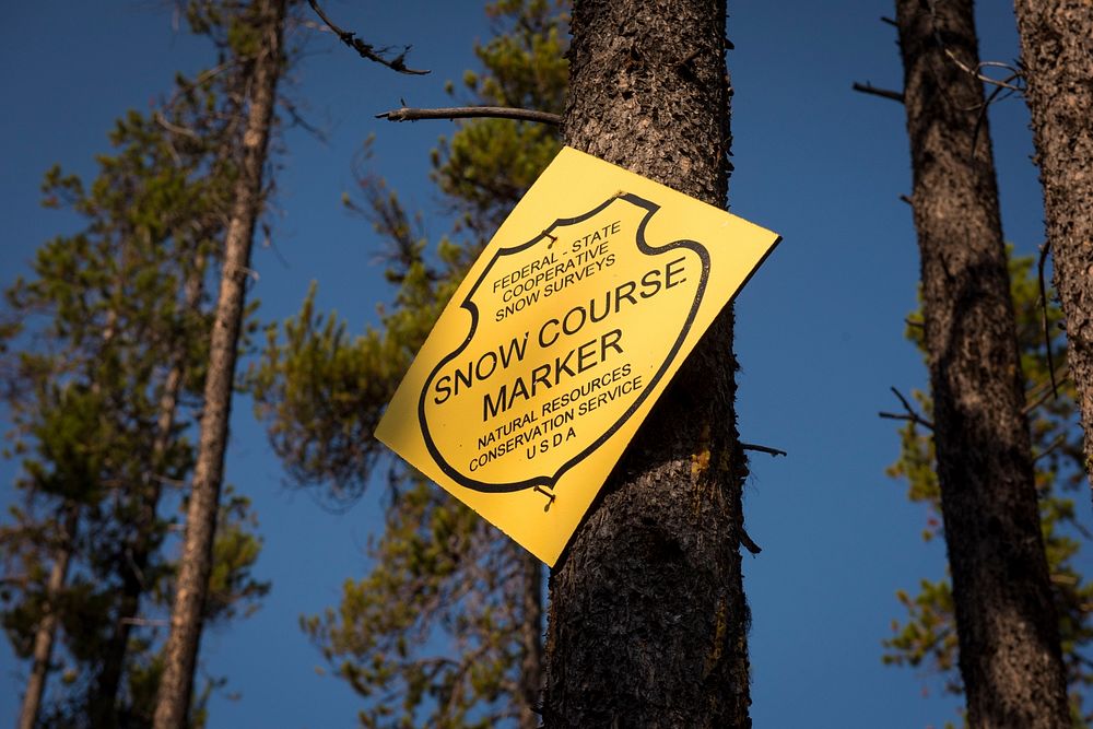 A snow course marker identifies the location of a snow course site where snow depth and water content are measured manually.…