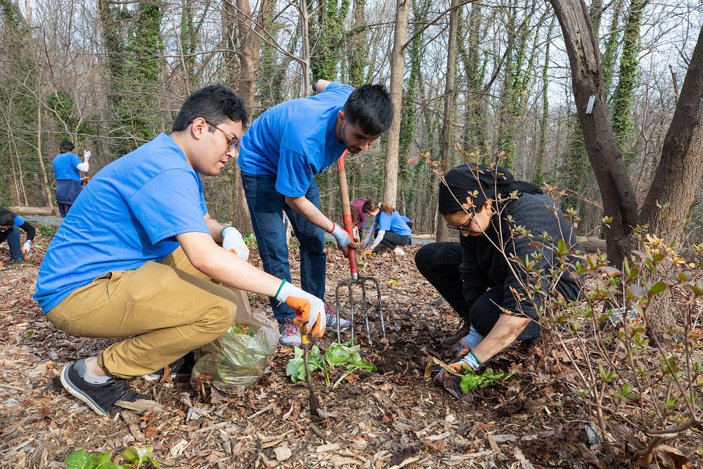 Fulbright MENA Community Service Activities at National Arboretum, Washington, D.C., USA, March 15, 2019.