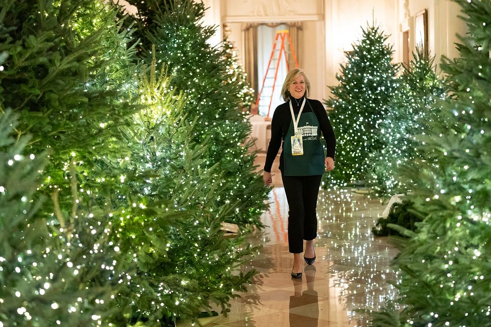 White House Christmas 2018Volunteers decorate the White House in preparation for the upcoming Christmas season. (Official…