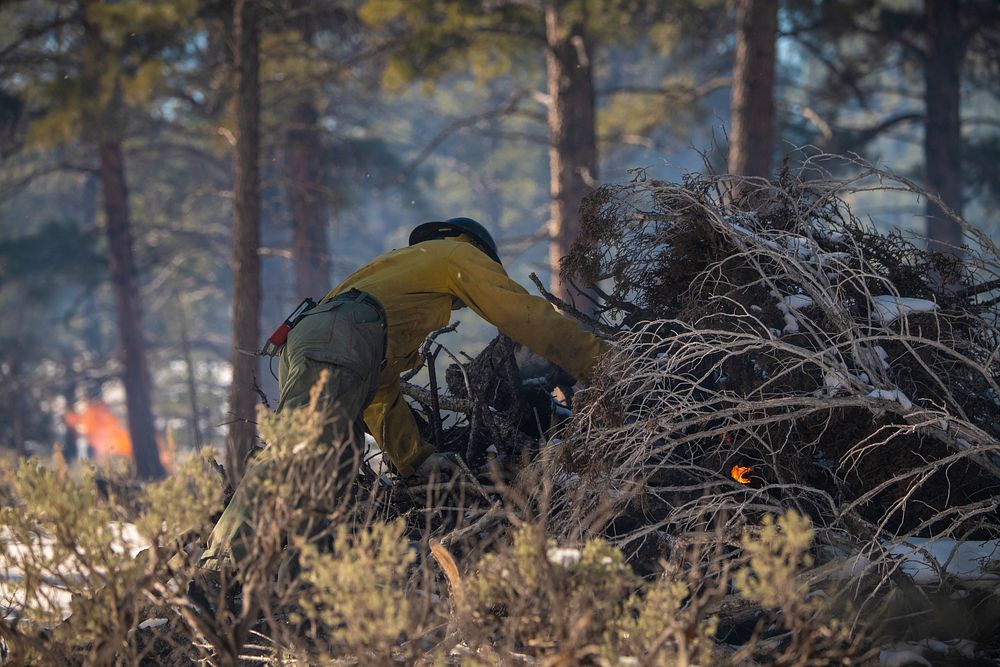 U.S. Department of Agriculture (USDA) Forest Service (USFS) Kaibab National Forest fire personnel Brandon Oberhardt (seen)…