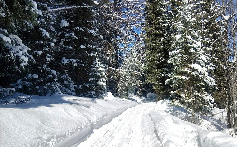 The trail at Frater Lake on the Colville National Forest is designed for cross-country skiers. Snowshoers should use the…