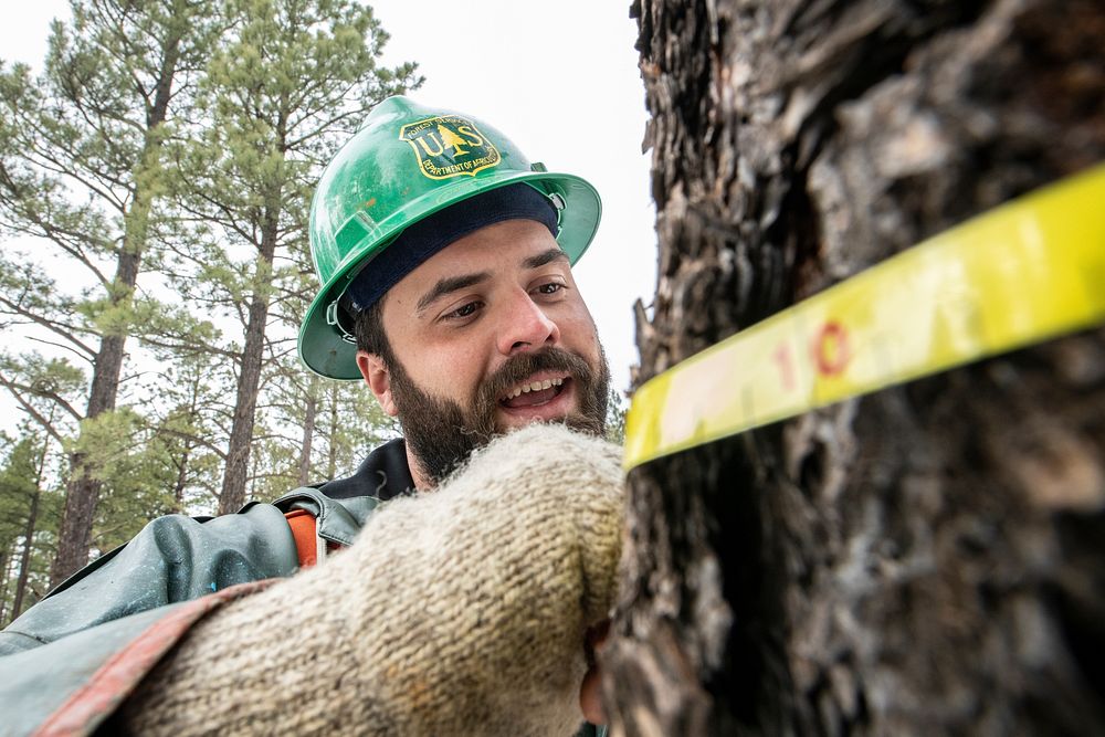 U.S. Department of Agriculture (USDA) Forest Service (FS) Apache-Sitgreaves National Forests, Lakeside Ranger District…