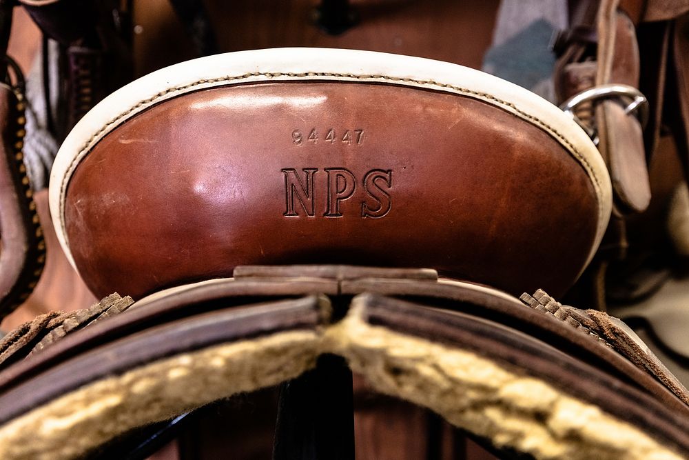 NPS branded saddle by Jacob W. Frank. Original public domain image from Flickr