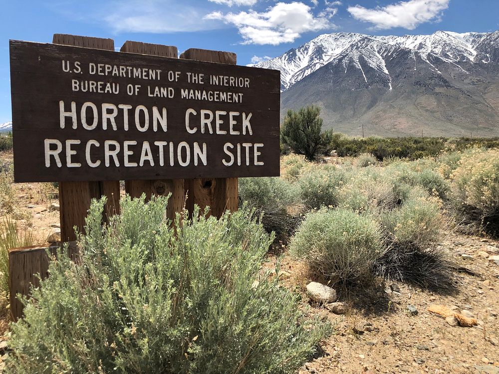 Horton Creek Campground is located on an alluvial fan, next to Horton Creek with an outstanding view of Mt. Tom and Wheeler…
