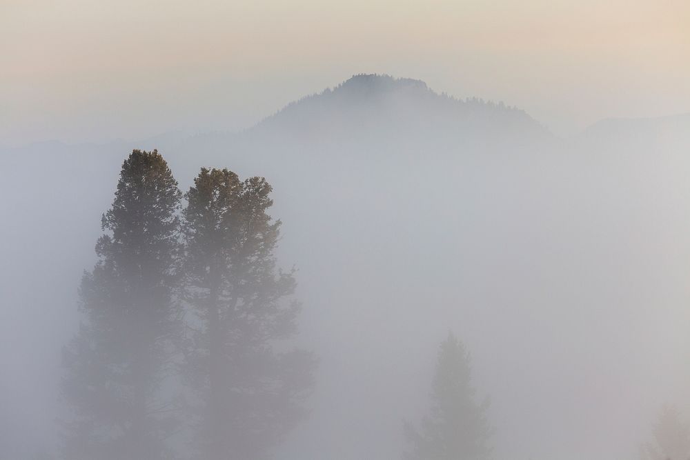 Morning fog, Blacktail Deer Plateau