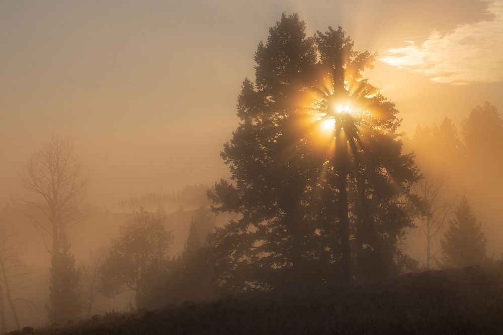 Foggy Sunrise, Blackail Deer Plateau. Original public domain image from Flickr