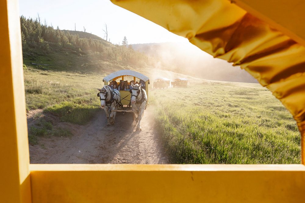 Covered wagon ride in the afternoon light by Jacob W. Frank. Original public domain image from Flickr