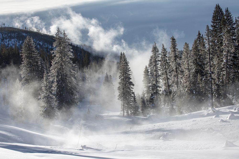 Misty morning along Obsidian Creek. Original public domain image from Flickr