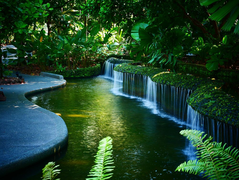 Botanical small waterfall garden. Free public domain CC0 image.