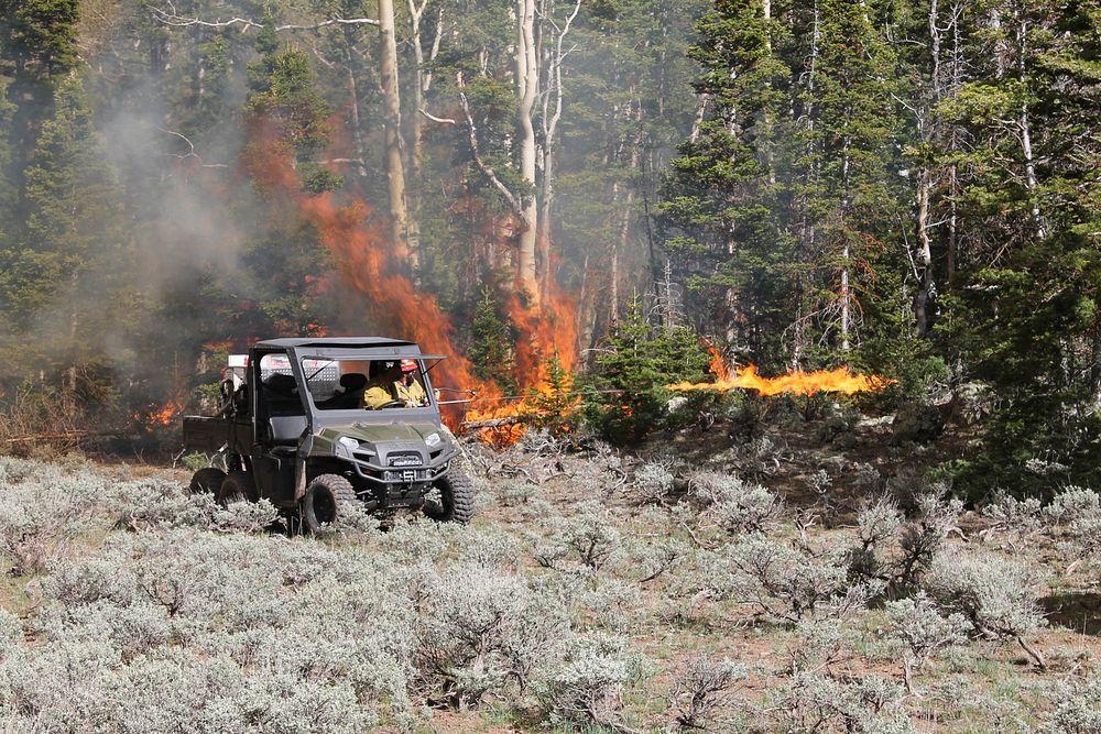 Using a Terratorch to ignite a prescribed fire, South Monroe Rx 2019. Photo credit: Roger Ottmar, USFS PNW-Pacific Wildland…
