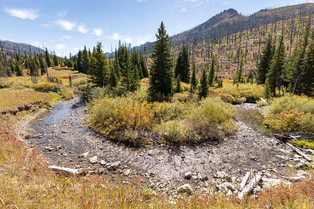 Bend in Wolverine Creek. Original public domain image from Flickr