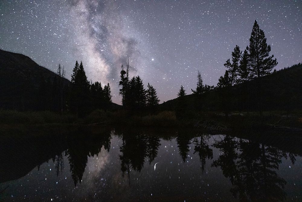Milky Way reflections on a beaver pond. Original public domain image from Flickr
