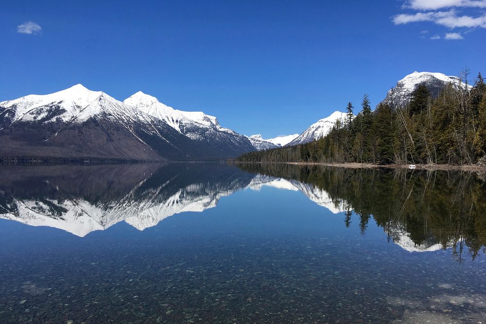 Reflection on the shores of Lake McDonald in Glacier National Park. Original public domain image from Flickr