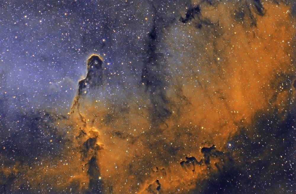 The Elephant Trunk Nebula is an area of interstellar gas and dust located in the constellation Cepheus about 2,400 light…