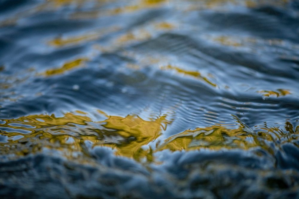 Water flows down the river. Original public domain image from Flickr