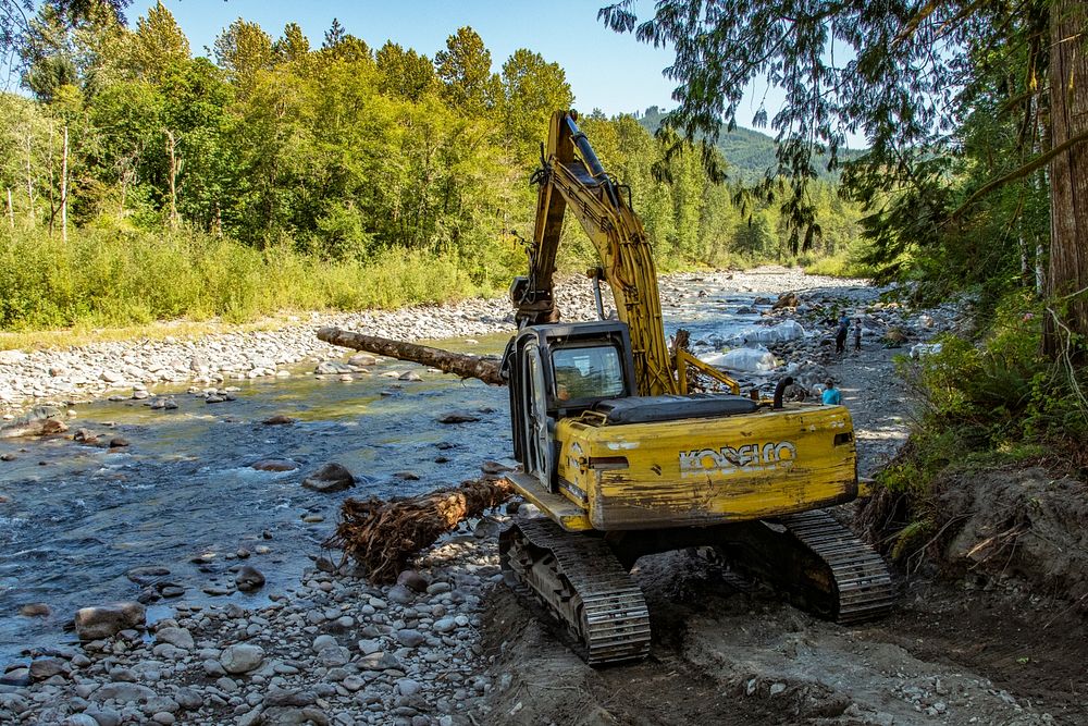 An excavator carefully places logs to construct an engineered log jam in the South Fork Nooksack River, in Washington, on…