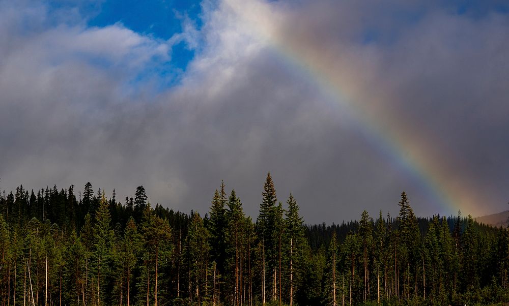 A rainbow in Mount Hood National Forest, Oregon. (USDA Forest Service photo by Cecilio Ricardo). Original public domain…