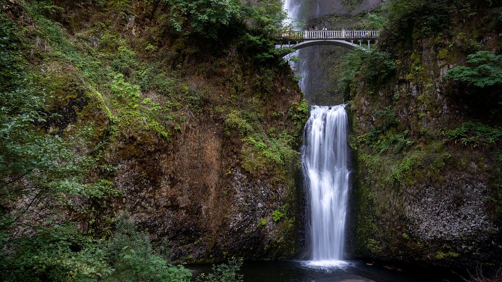 Multnomah Falls, Columbia River Gorge, Oregon. (USDA Forest Service photo by Cecilio Ricardo). Original public domain image…