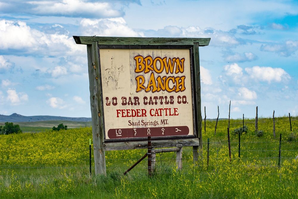The LO Cattle Company started April Fools Day in 1960 by Bill Brown Sr. and Bill Brown Jr., and was originally known as W.J.…