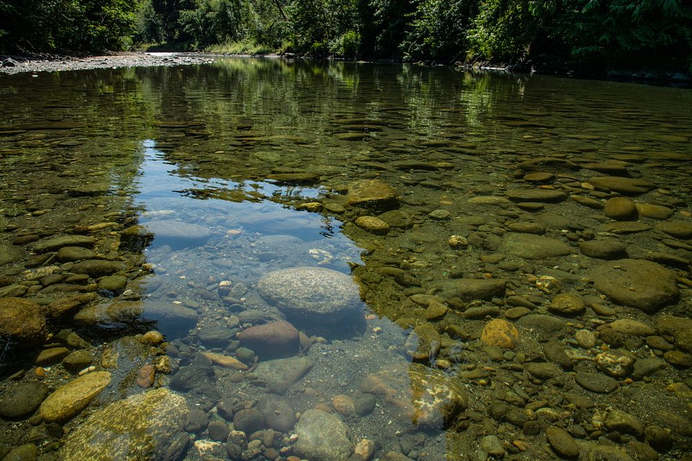 The South Fork Nooksack River. Original public domain image from Flickr