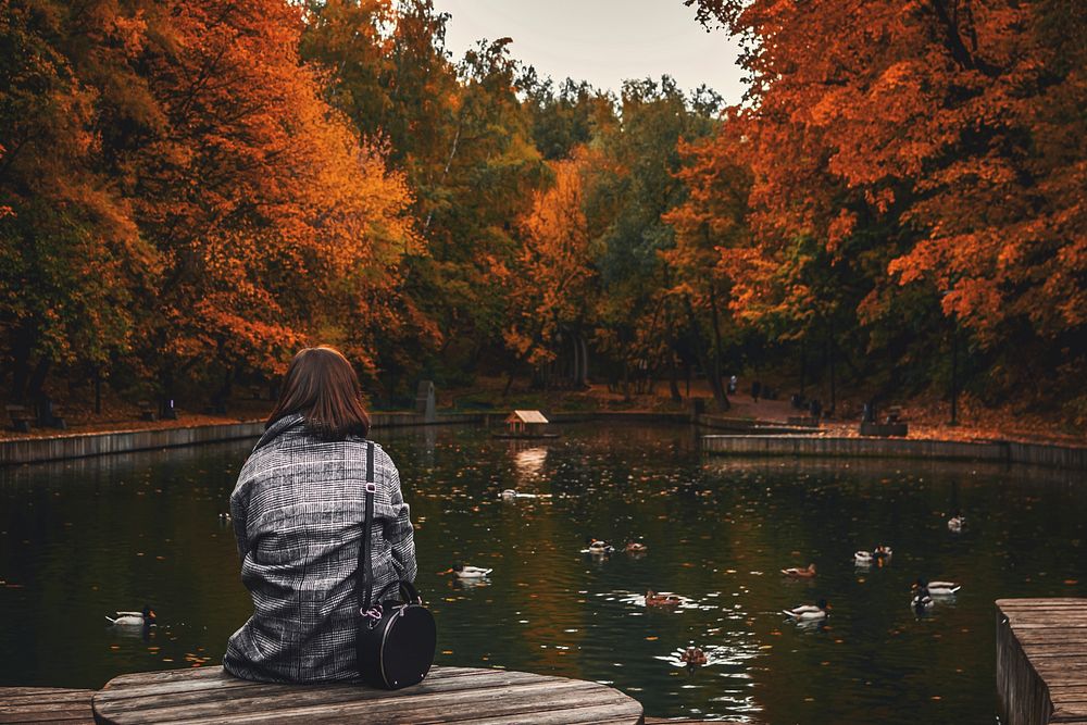 Autumn leaves, background photo. Free public domain CC0 image.